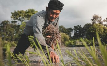 unprg - ingeniero agrónomo escurra clso