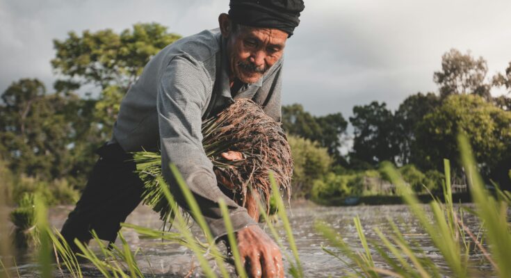 unprg - ingeniero agrónomo escurra clso